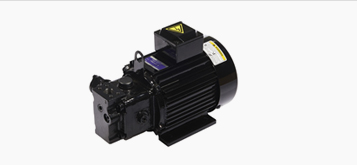 PVM series Vane Pump Motor